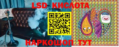 шишки Апшеронск
