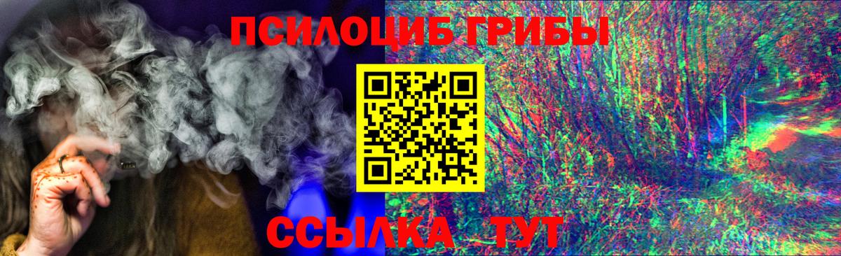 Псилоцибиновые грибы Cubensis Богородицк
